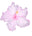 Jacie Daisy Art - Home